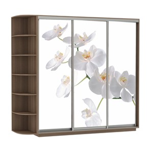 Шкаф 3-дверный Экспресс со стеллажом, 2100х600х2200, Орхидея белая/шимо темный в Томске