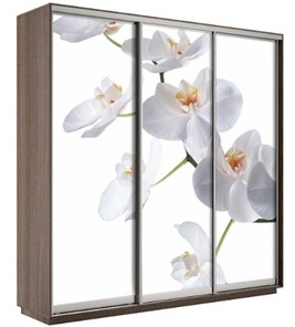 Шкаф 3-створчатый Экспресс 2400х600х2200, Орхидея белая/шимо темный в Томске