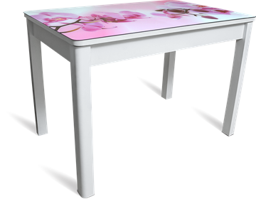 Кухонный раздвижной стол Айсберг-02 СТФ, белое лдсп/орхидея/40 прямые массив белые в Томске
