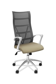 Офисное кресло для руководителя Топ X белый каркас, сетка/ткань TW / серая/светло-серая в Томске