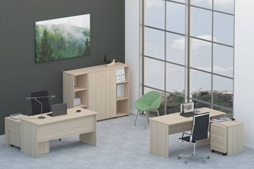 Офисный набор мебели Twin для 2 сотрудников со шкафом для документов в Томске
