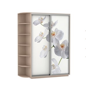 Шкаф 2-дверный Экспресс 1900x600x2200, со стеллажом, Орхидея белая/дуб молочный в Томске