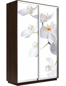 Шкаф 2-х створчатый Экспресс 1400x600x2400, Орхидея белая/венге в Томске