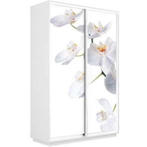 Шкаф Экспресс 1600x450x2400, Орхидея белая/белый снег в Томске
