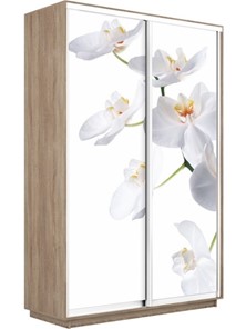 Шкаф Экспресс 1600x450x2400, Орхидея белая/дуб сонома в Томске