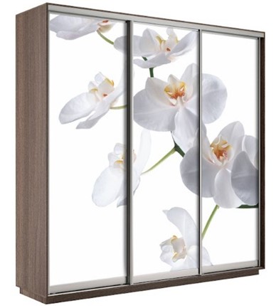 Шкаф Экспресс 1800х600х2200, Орхидея бела/шимо темный в Томске - изображение