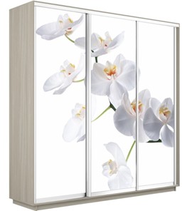 Шкаф трехдверный Экспресс 1800х600х2400, Орхидея белая/шимо светлый в Томске