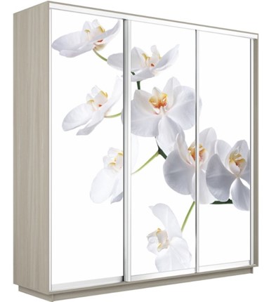 Шкаф 3-х створчатый Экспресс 2400х600х2400, Орхидея белая/шимо светлый в Томске - изображение
