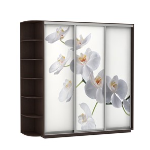 Шкаф Экспресс со стеллажом, 2700х600х2400, Орхидея белая/венге в Томске