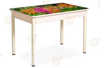 Кухонный раскладной стол Айсберг-02 СТФ, Дуб ЛДСП/полевые цветы/ноги крашеные в Томске