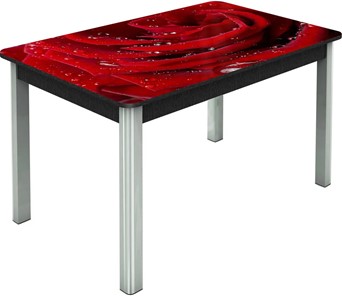 Обеденный раздвижной стол Гамбург исп.2 ноги метал. крашеные №23, Фотопечать (Цветы №39) в Томске