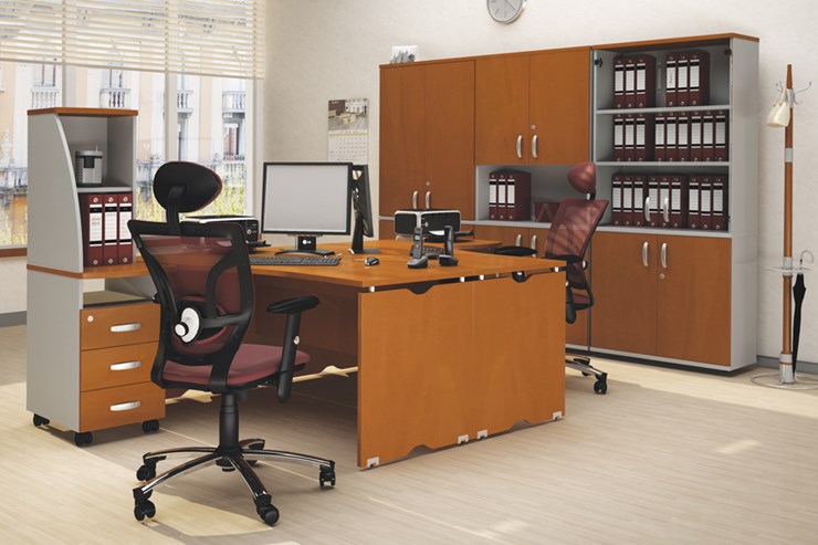 Офисный комплект мебели Милан для 2 сотрудников с тумбочками и большим шкафом в Томске - изображение