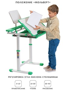 Растущая парта и растущий стул SET HOLTO-17А, зеленый в Томске - предосмотр 2